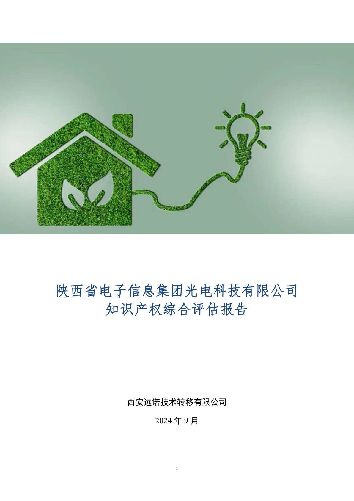 某企业知识产权综合评估报告 - 远诺技术转移中心报告示例