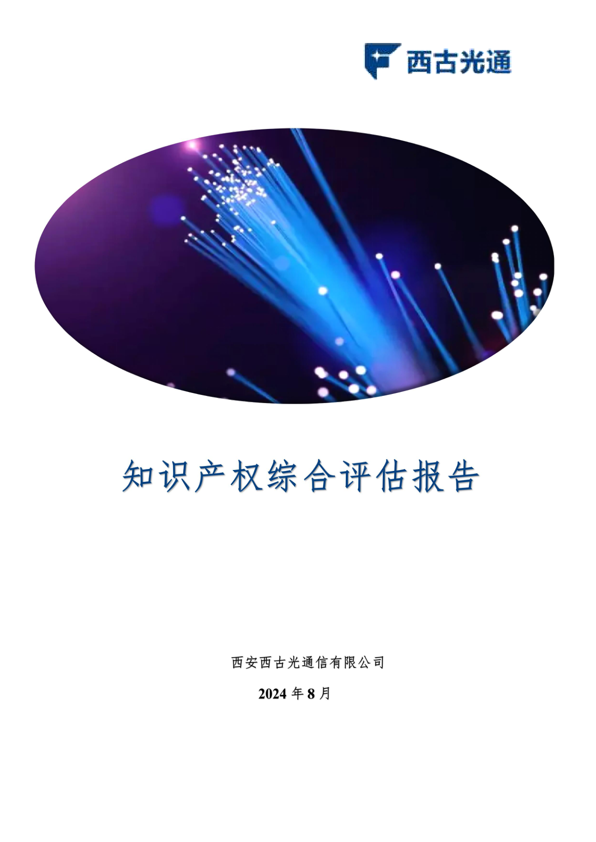 某企业知识产权综合评估报告 - 远诺技术转移中心报告示例