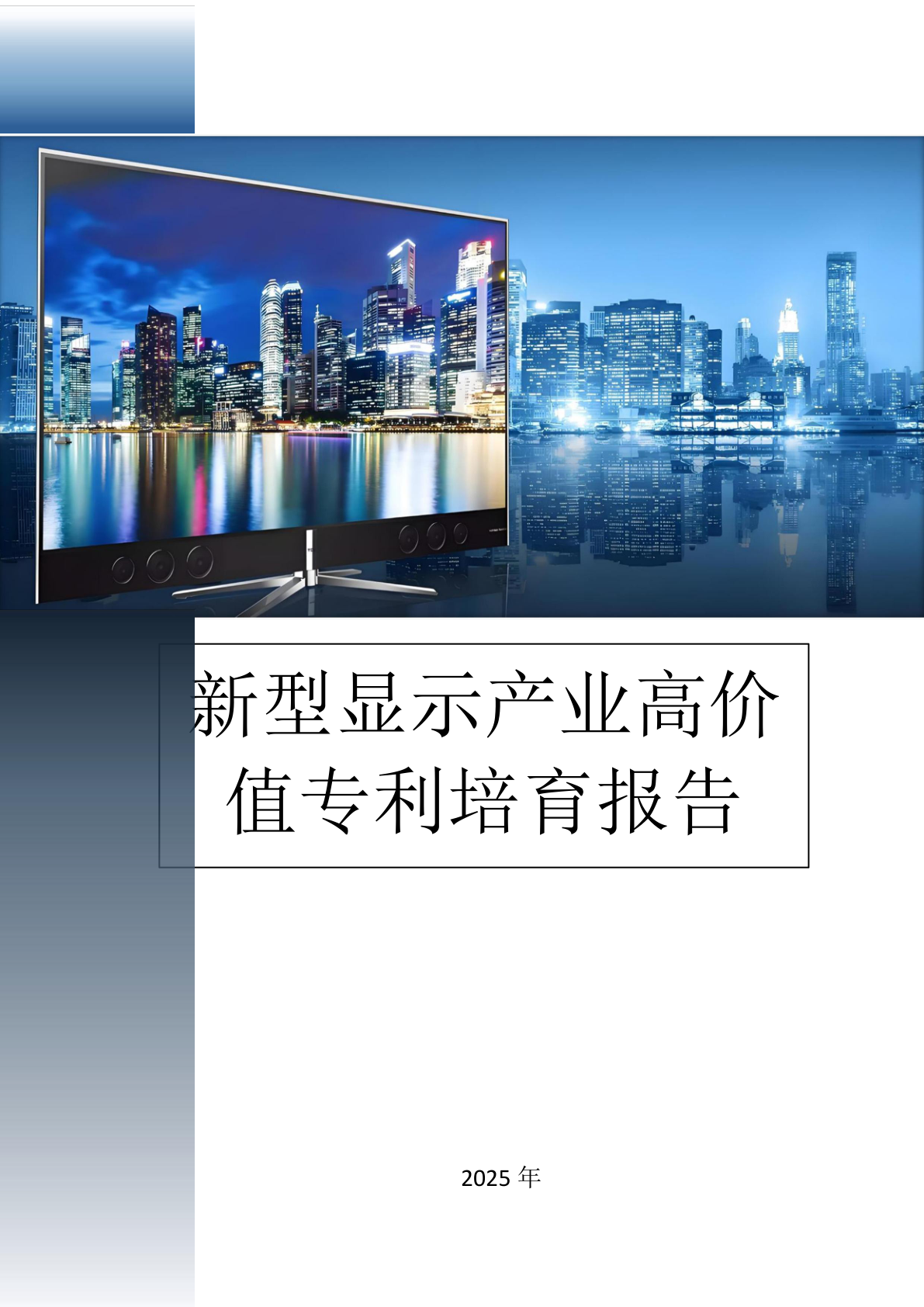 新型显示产业高价值专利培育报告 - 远诺技术转移中心报告示例
